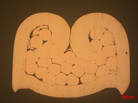 壓接截點(diǎn)橫截面觀(guān)察-.jpg